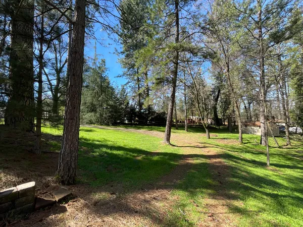 a view of a park with a tree