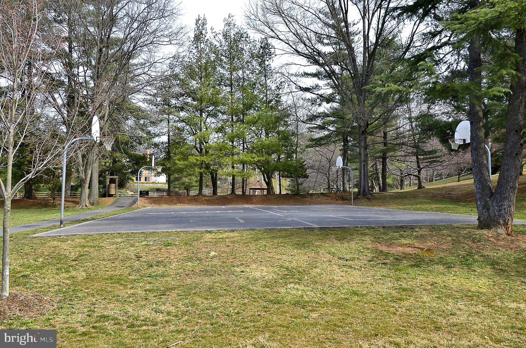12513 Over Ridge Road Potomac, MD 20854 - Photo 43 of 44