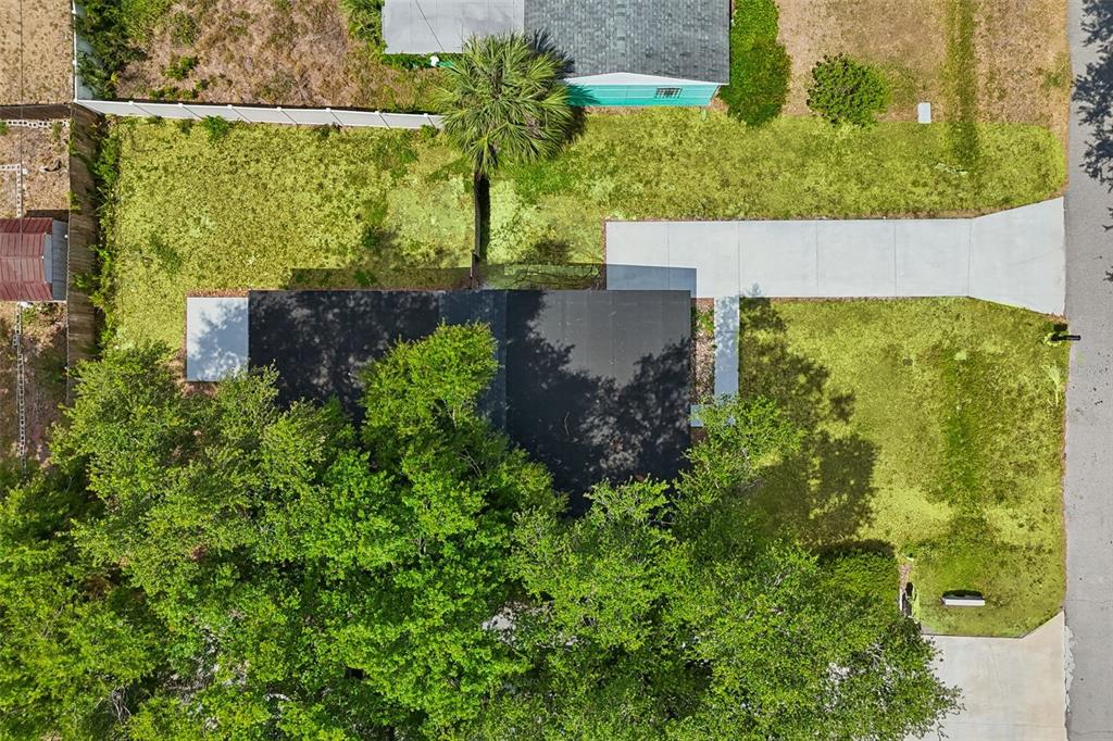 3912 West Pine Street Tampa, FL 33607 - Photo 60 of 60 a view of a garden