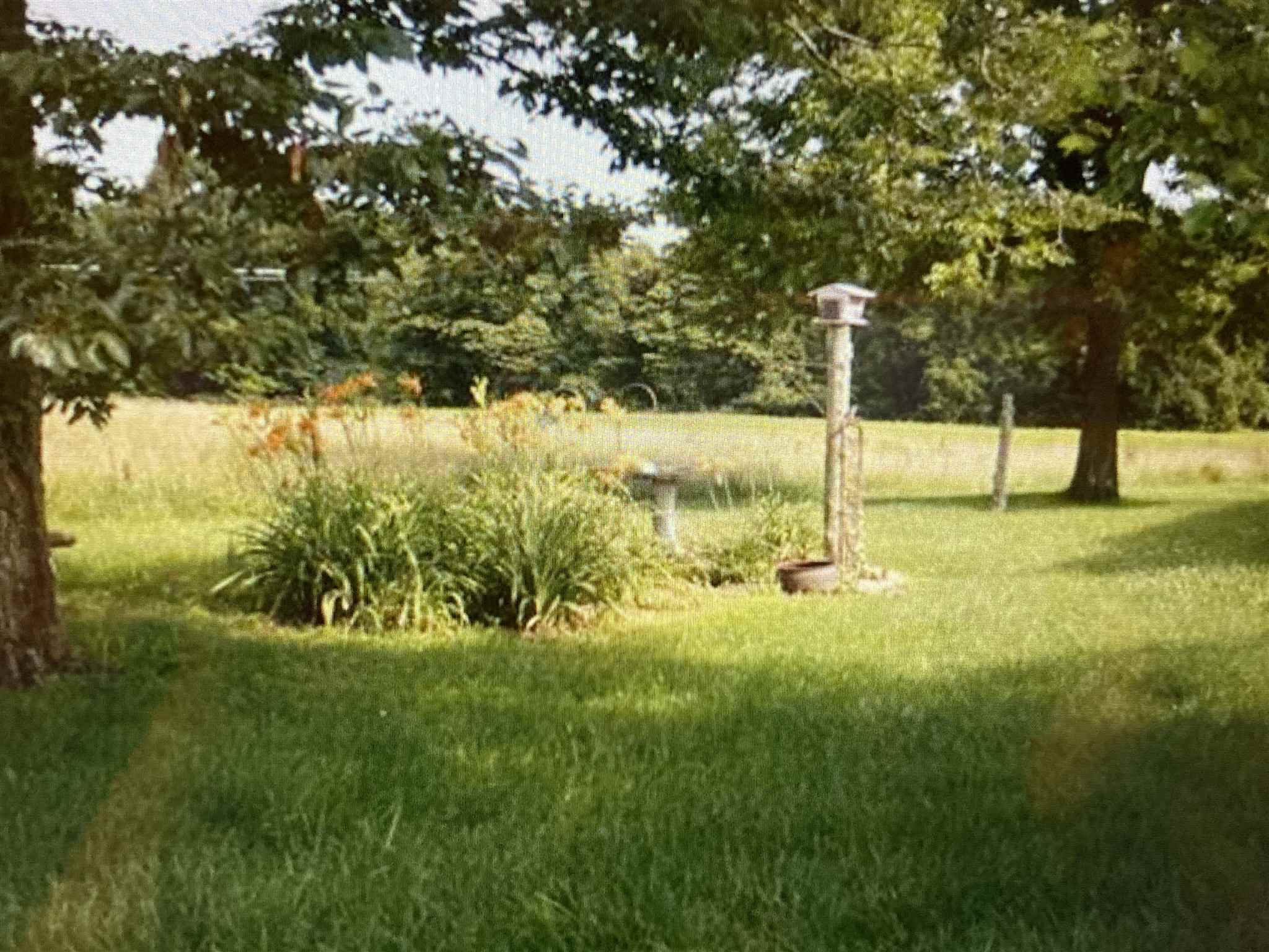 3751 North Legion Road Solsberry, IN 47459 - Photo 9 of 36 Gallery Image 9