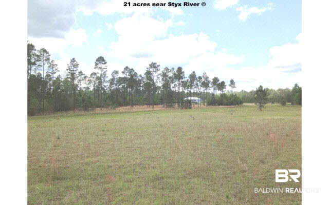 25885 Goat Cooper Road Robertsdale, AL 36567 - Photo 14 of 44