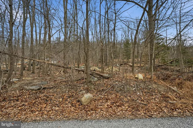a view of beach and ocean