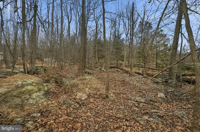 a view of covered with snow