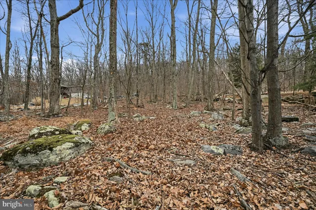 a view of a yard with a tree