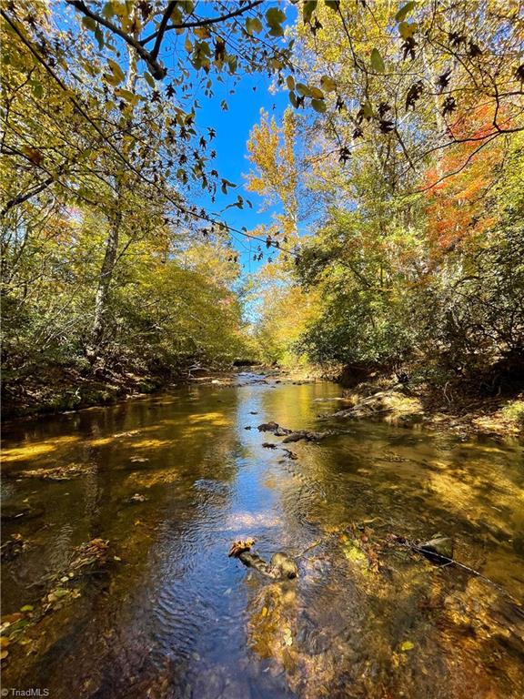 1880 Hauser Road Pinnacle, NC 27043 - Photo 22 of 43