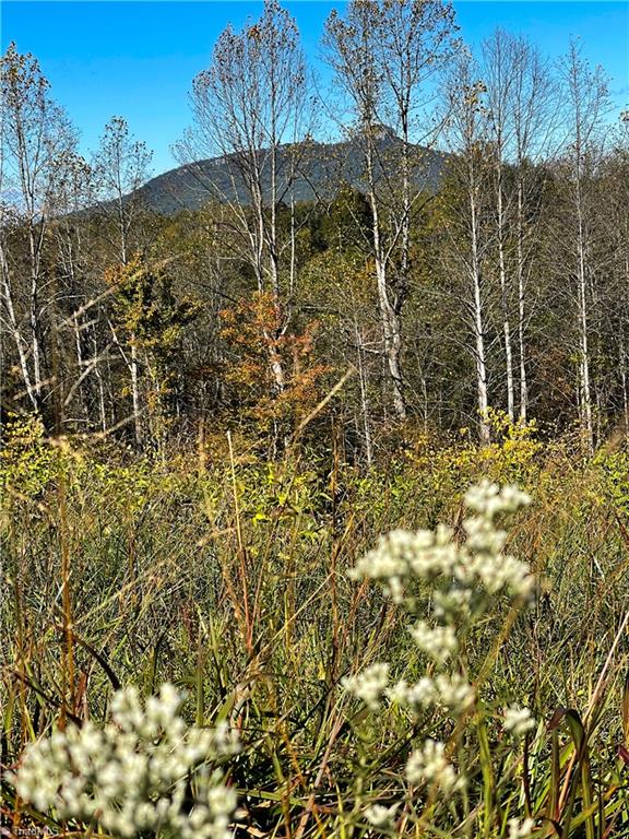 1880 Hauser Road Pinnacle, NC 27043 - Photo 40 of 43