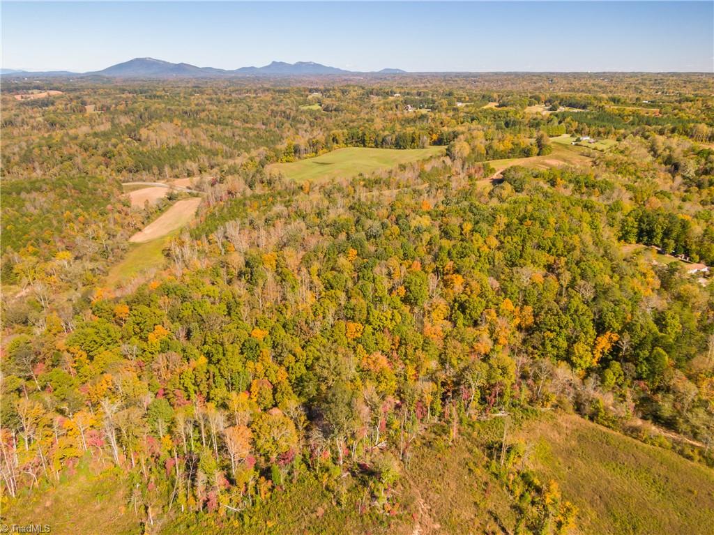 1880 Hauser Road Pinnacle, NC 27043 - Photo 8 of 43