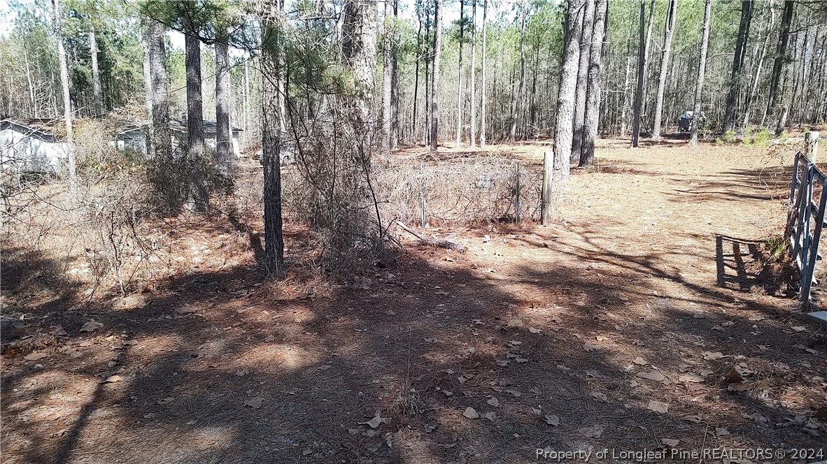 827 Cameron Hill Road Cameron, NC 28326 - Photo 36 of 42 Gallery Image 36