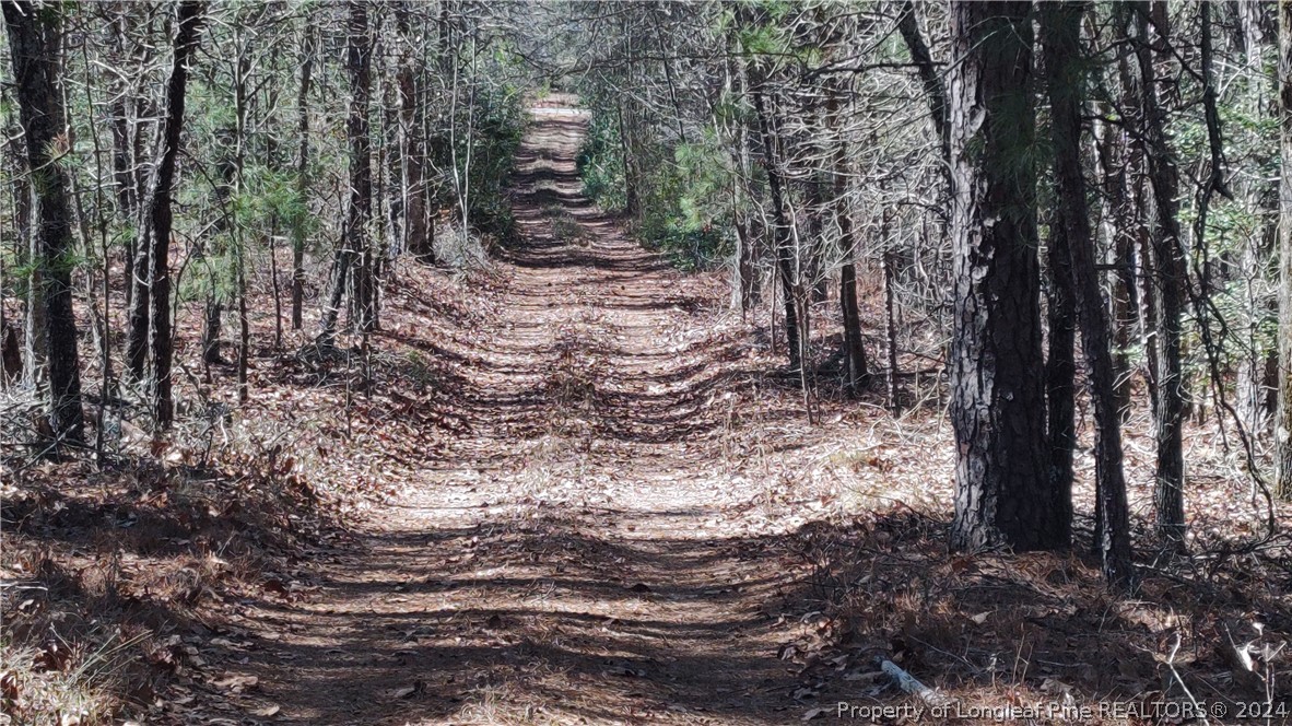 827 Cameron Hill Road Cameron, NC 28326 - Photo 39 of 42 Gallery Image 39