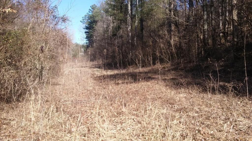 0 Gribble Road Maryville, TN 37803 - Photo 29 of 32 Gallery Image 29