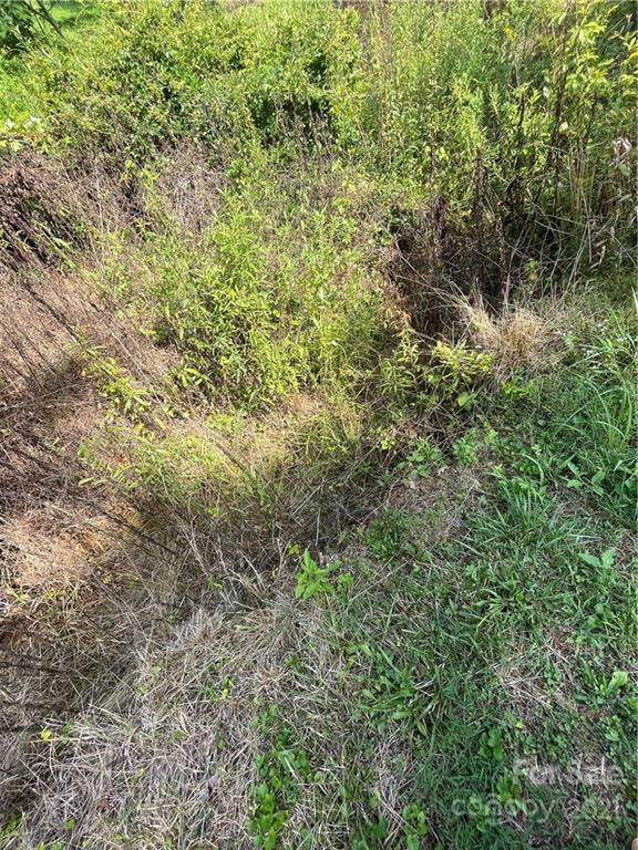 0 Goose Creek Road Marion, NC 28752 - Photo 2 of 6 Gallery Image 2