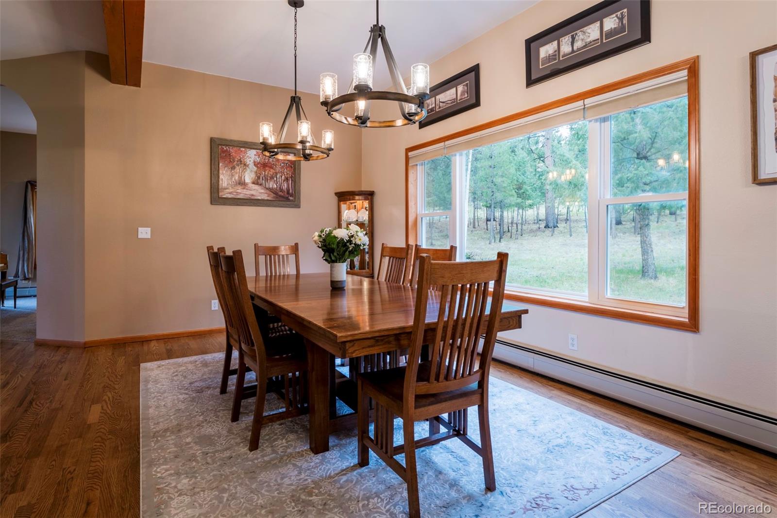 33 Sparrow Court Bailey, CO 80421 - Photo 10 of 48