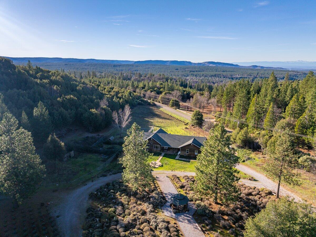 12757 Fern Road Whitmore, CA 96096 - Photo 4 of 62 a view of a lake in middle of the forest