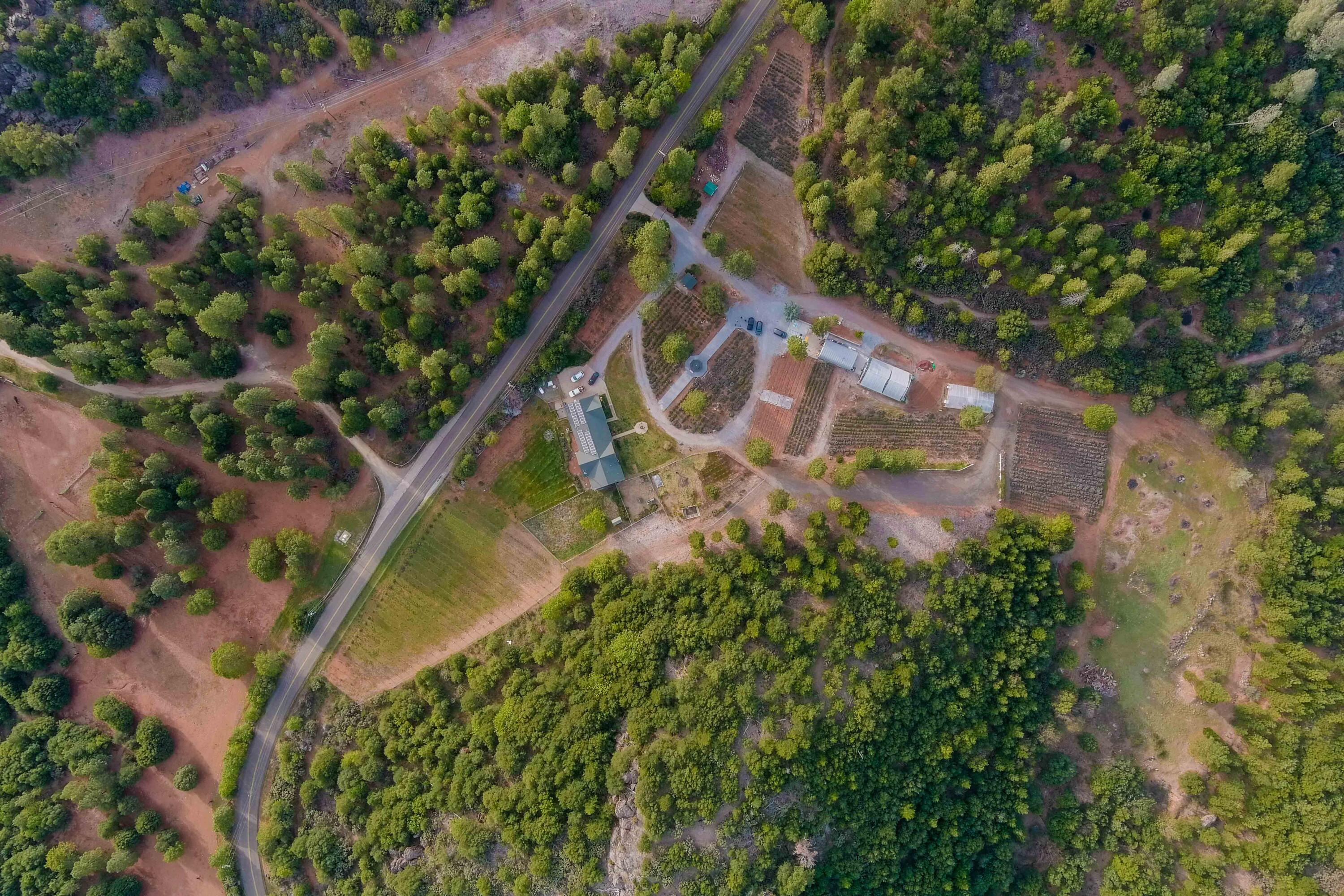 12757 Fern Road Whitmore, CA 96096 - Photo 51 of 62 a view of a yard with plants