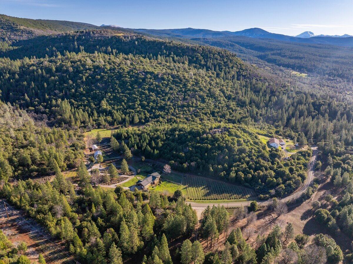 12757 Fern Road Whitmore, CA 96096 - Photo 52 of 62 12757 Fern Rd - E-4