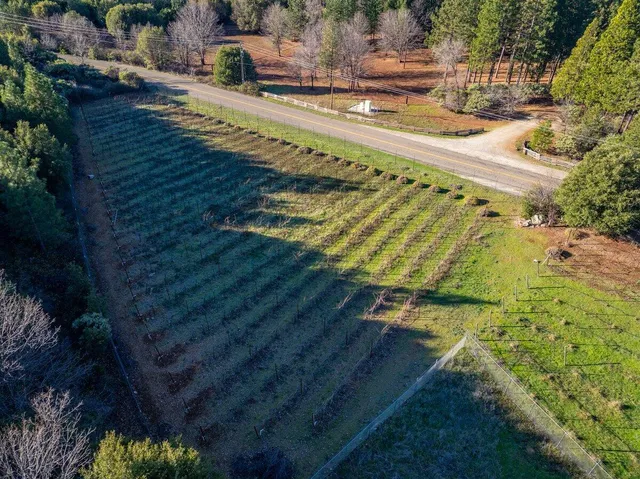 $725,000 | 12757 Fern Road, Whitmore, CA 96096