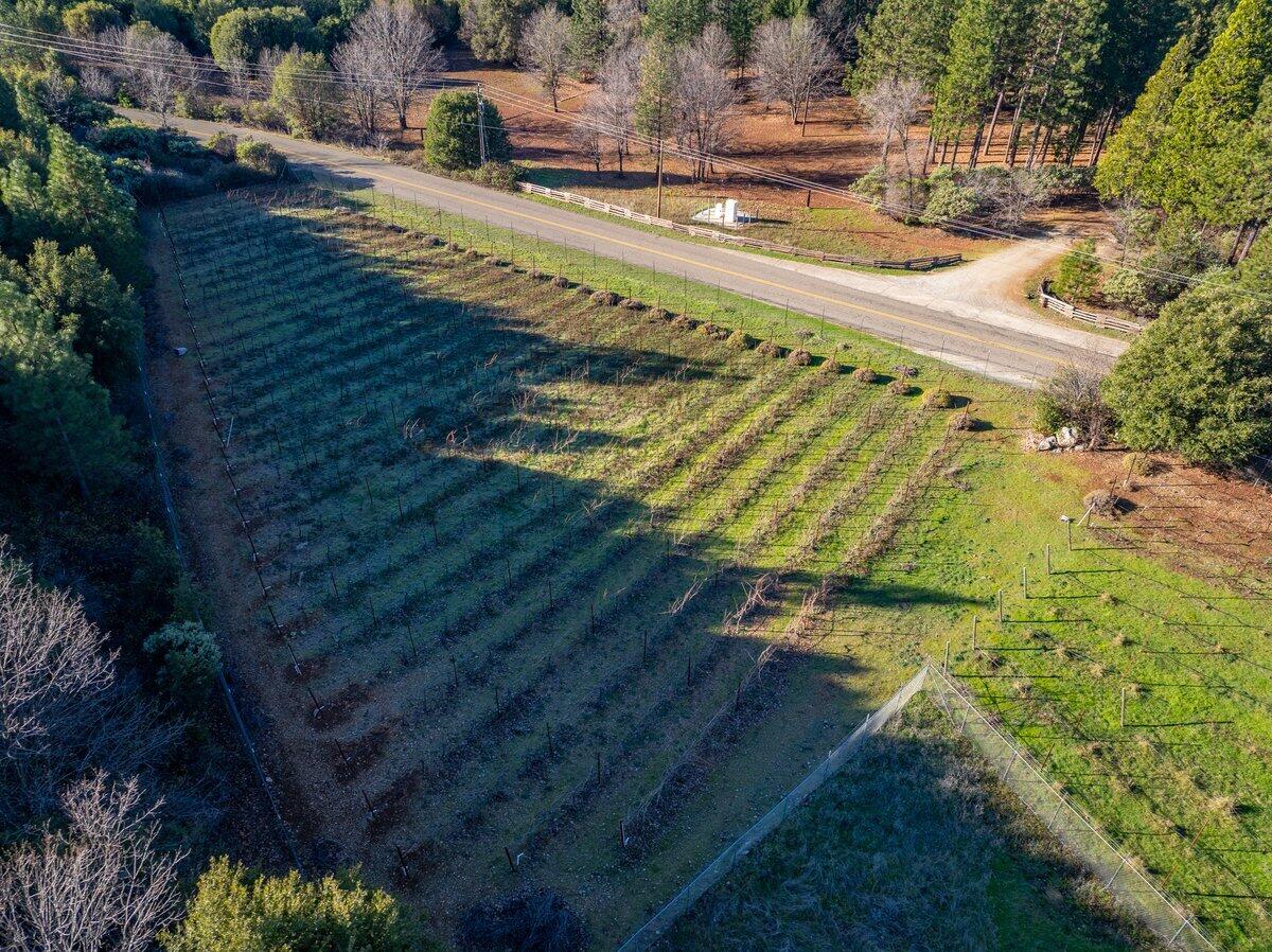 12757 Fern Road Whitmore, CA 96096 - Photo 56 of 62 a view of a yard with an outdoor space