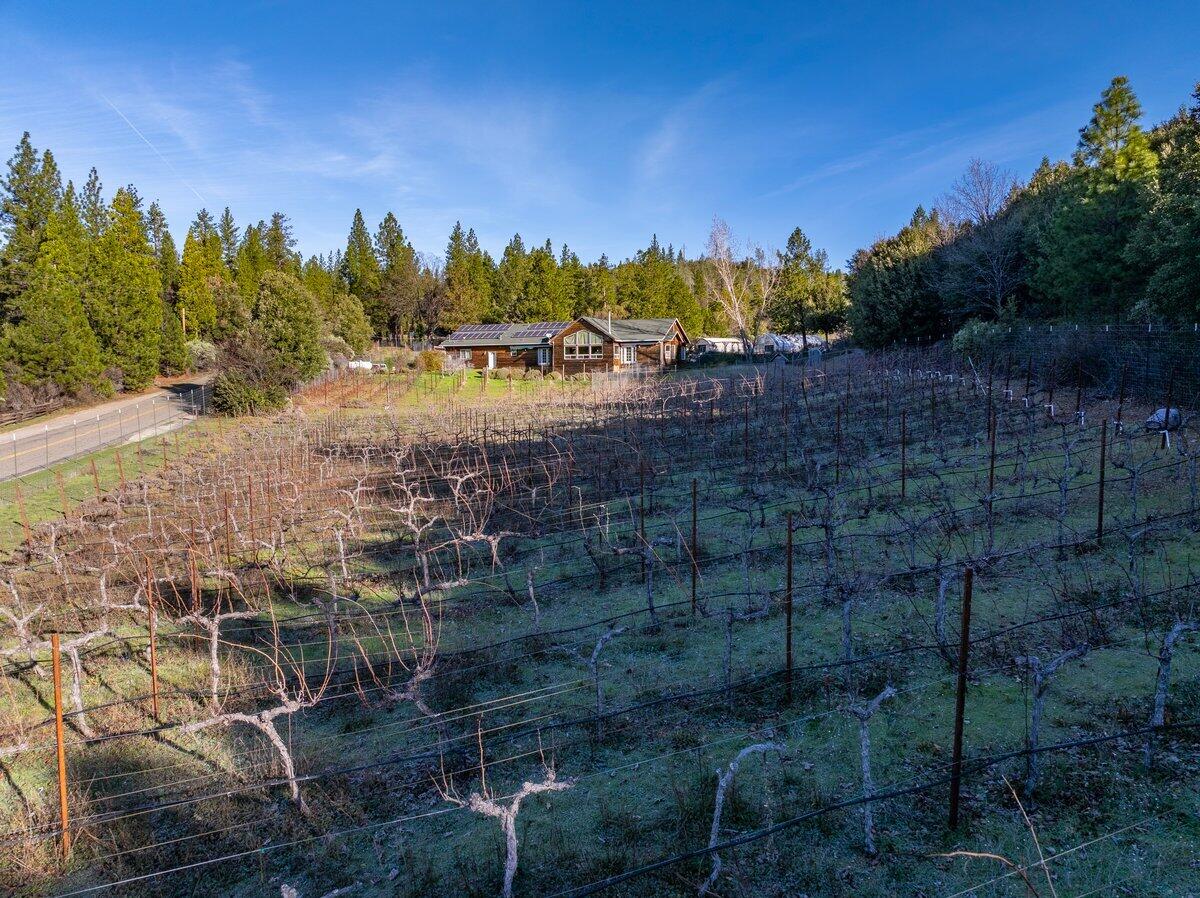 12757 Fern Road Whitmore, CA 96096 - Photo 57 of 62 12757 Fern Rd - E-12