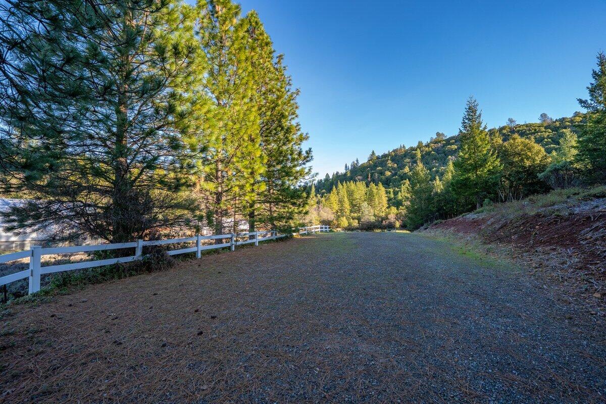 12757 Fern Road Whitmore, CA 96096 - Photo 59 of 62 a view of a field with trees in the background