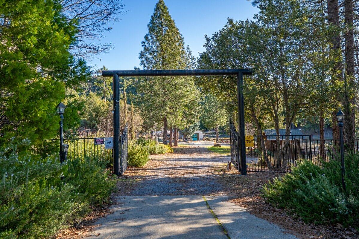 12757 Fern Road Whitmore, CA 96096 - Photo 60 of 62 a view of a park with large trees