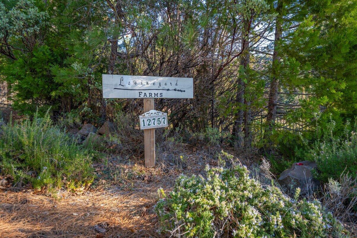 12757 Fern Road Whitmore, CA 96096 - Photo 61 of 62 a sign that is on a tree