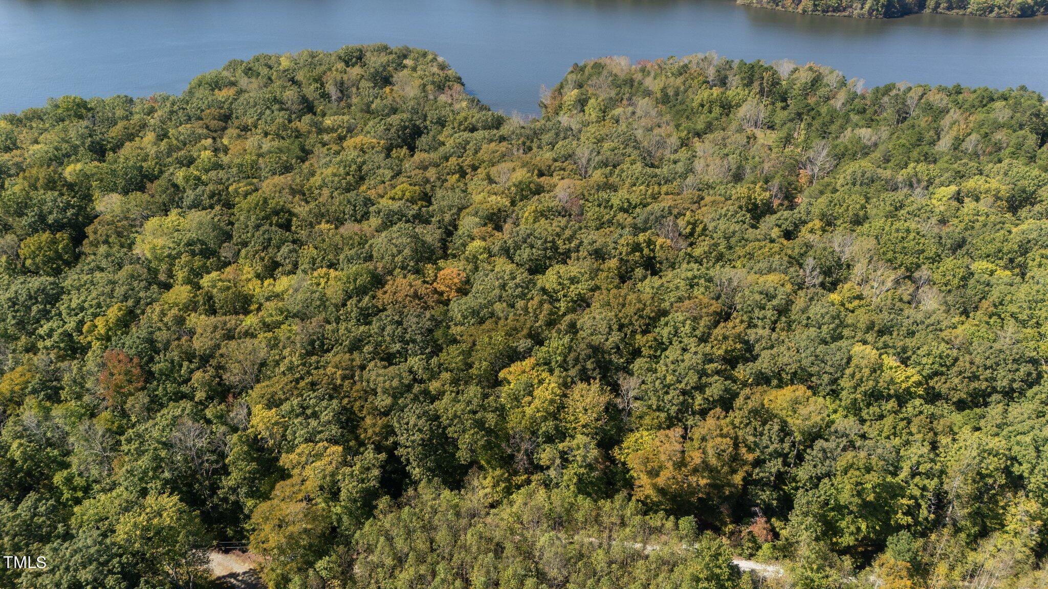 775 Gabriel Jones Road Roxboro, NC 27574 - Photo 8 of 19 aerial above lot and view 3