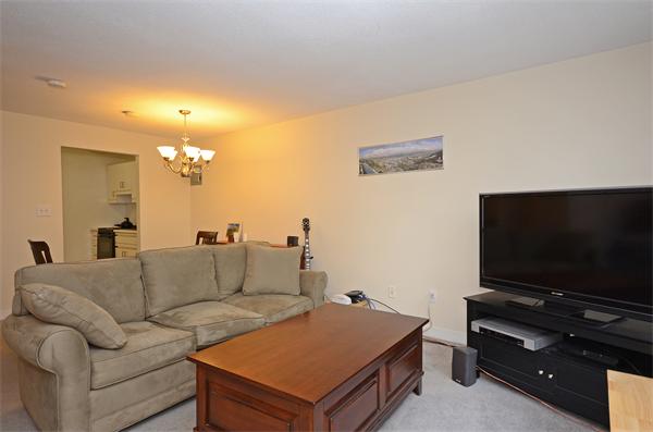 20 Riverside Street, Unit G5 Watertown, MA 02472 - Photo 4 of 14 Gallery Image 4