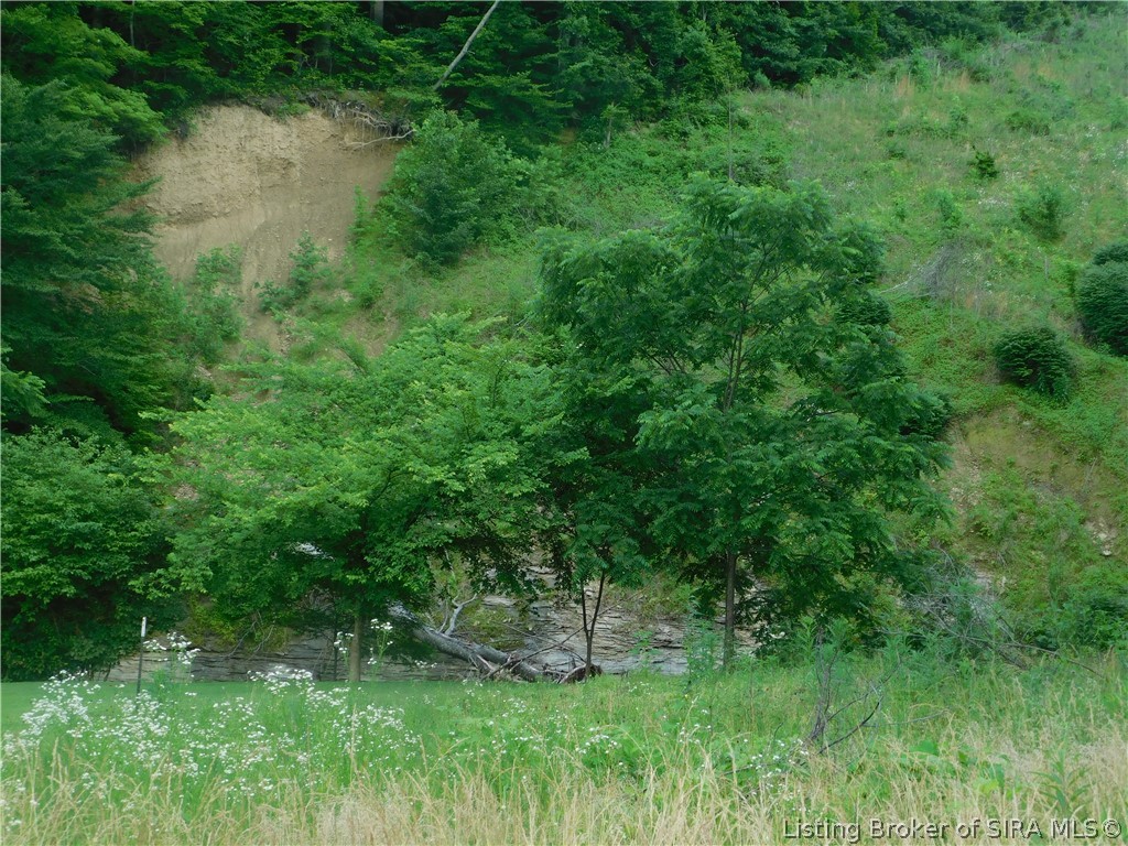 Borden Greenville Road Borden, IN 47106 - Photo 2 of 3