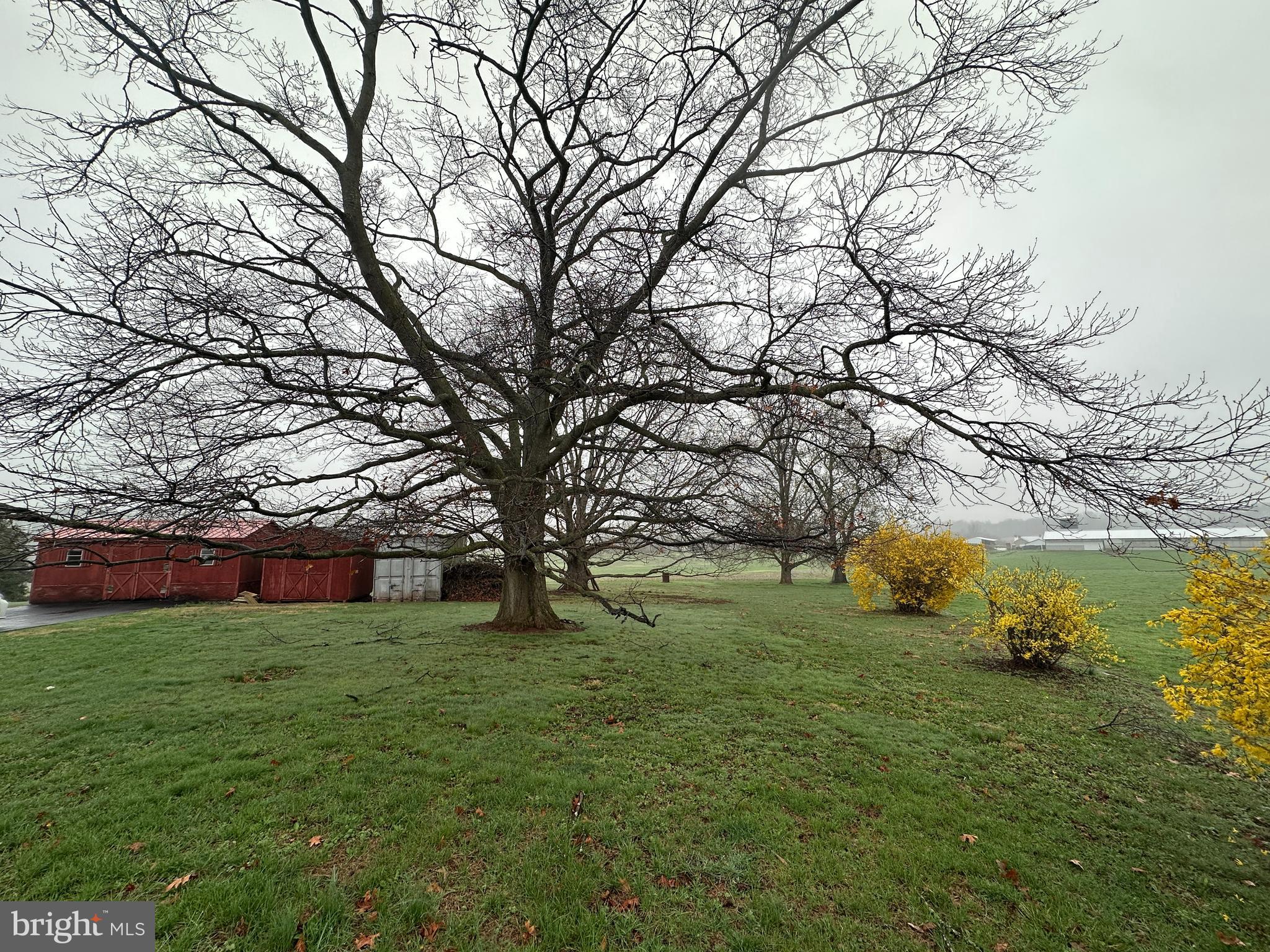 7220 Middleburg Road Keymar, MD 21757 - Photo 19 of 88