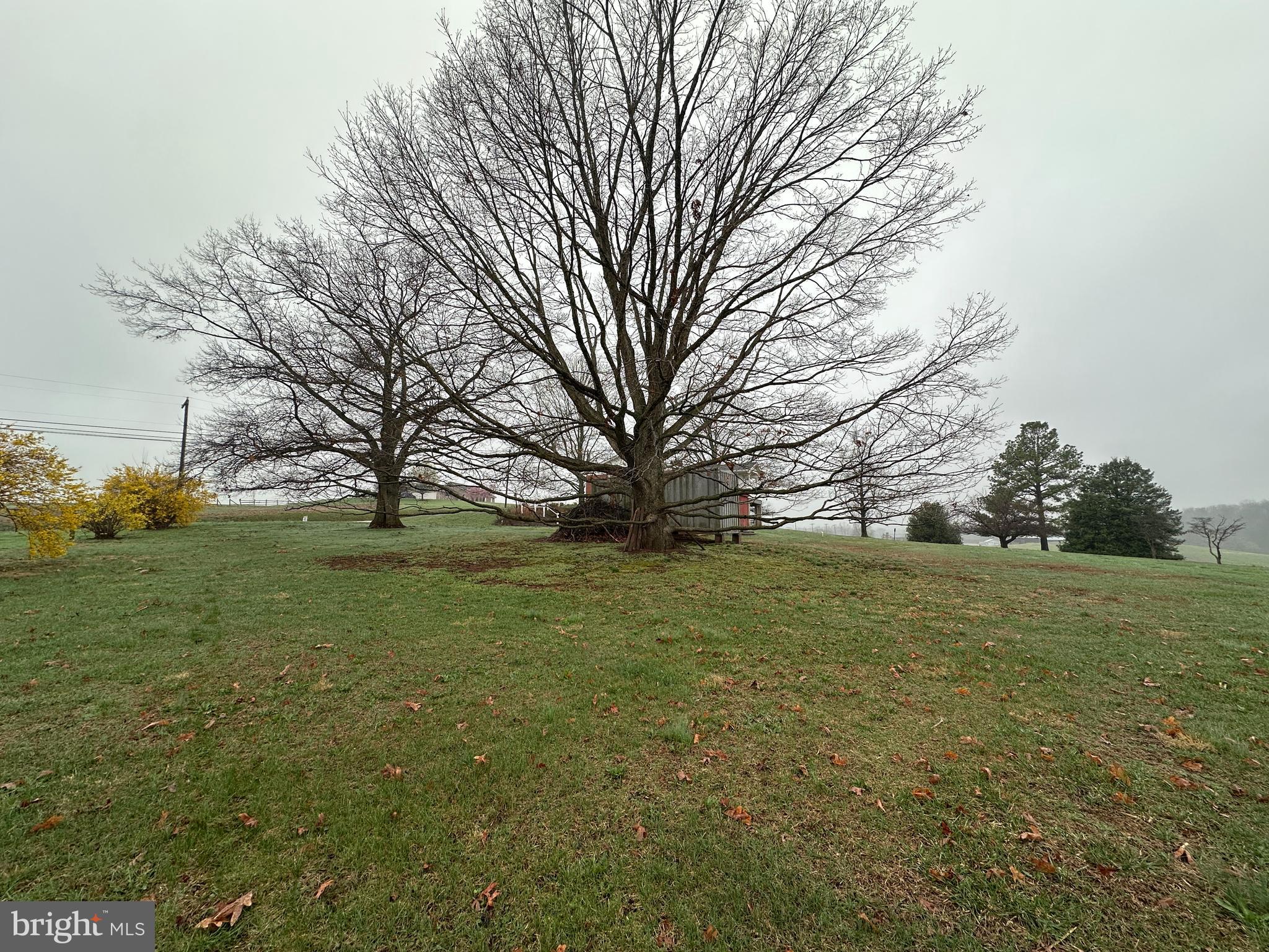 7220 Middleburg Road Keymar, MD 21757 - Photo 23 of 88