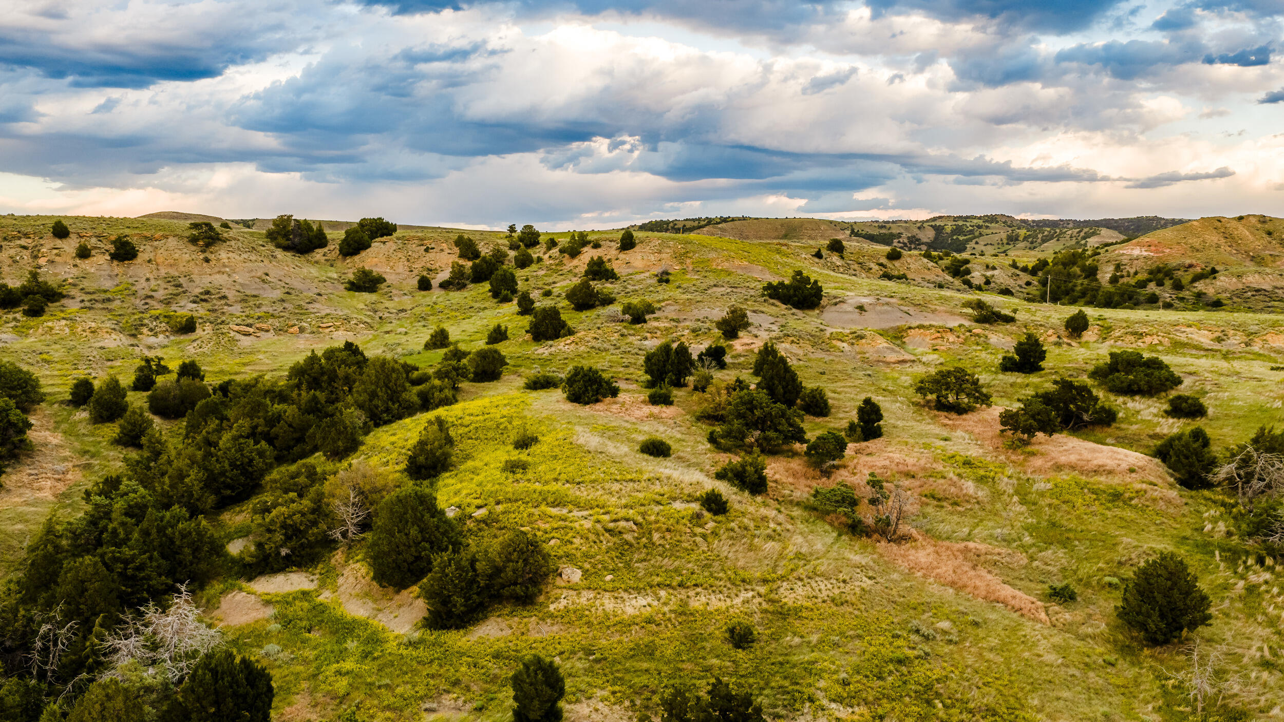 593 Lower Prairie Dog Road Sheridan, WY 82801 - Photo 72 of 182 593 lpd sunset 03