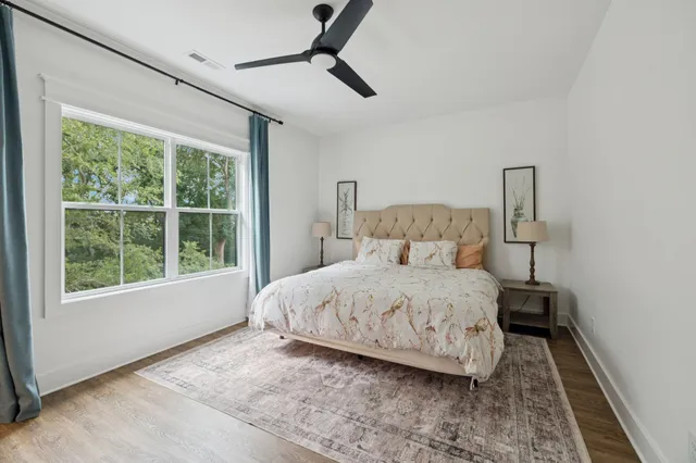 a view of a park with large trees