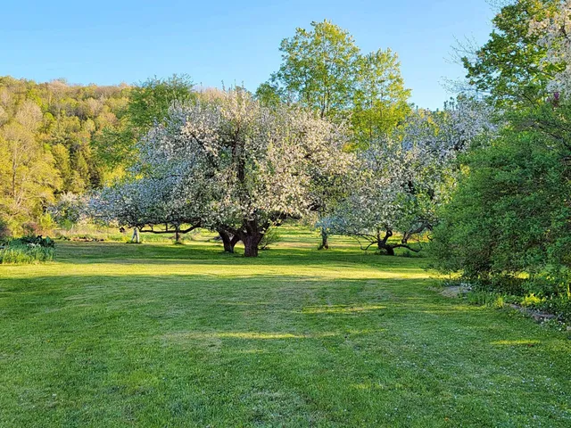 $310,000 | 1076 Nh Route, South Acworth, NH 03607