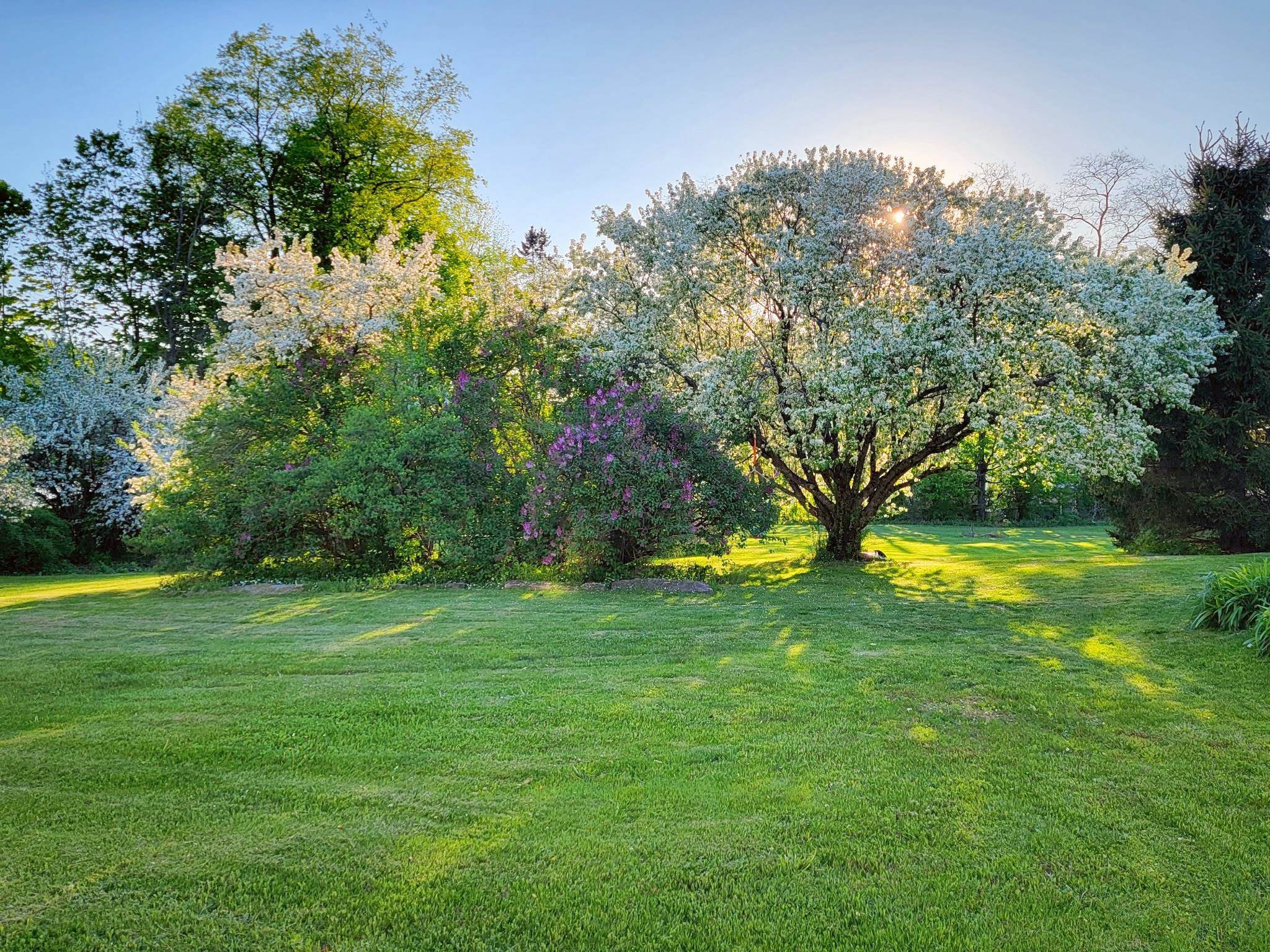 1076 Nh Route South Acworth, NH 03607 - Photo 3 of 25