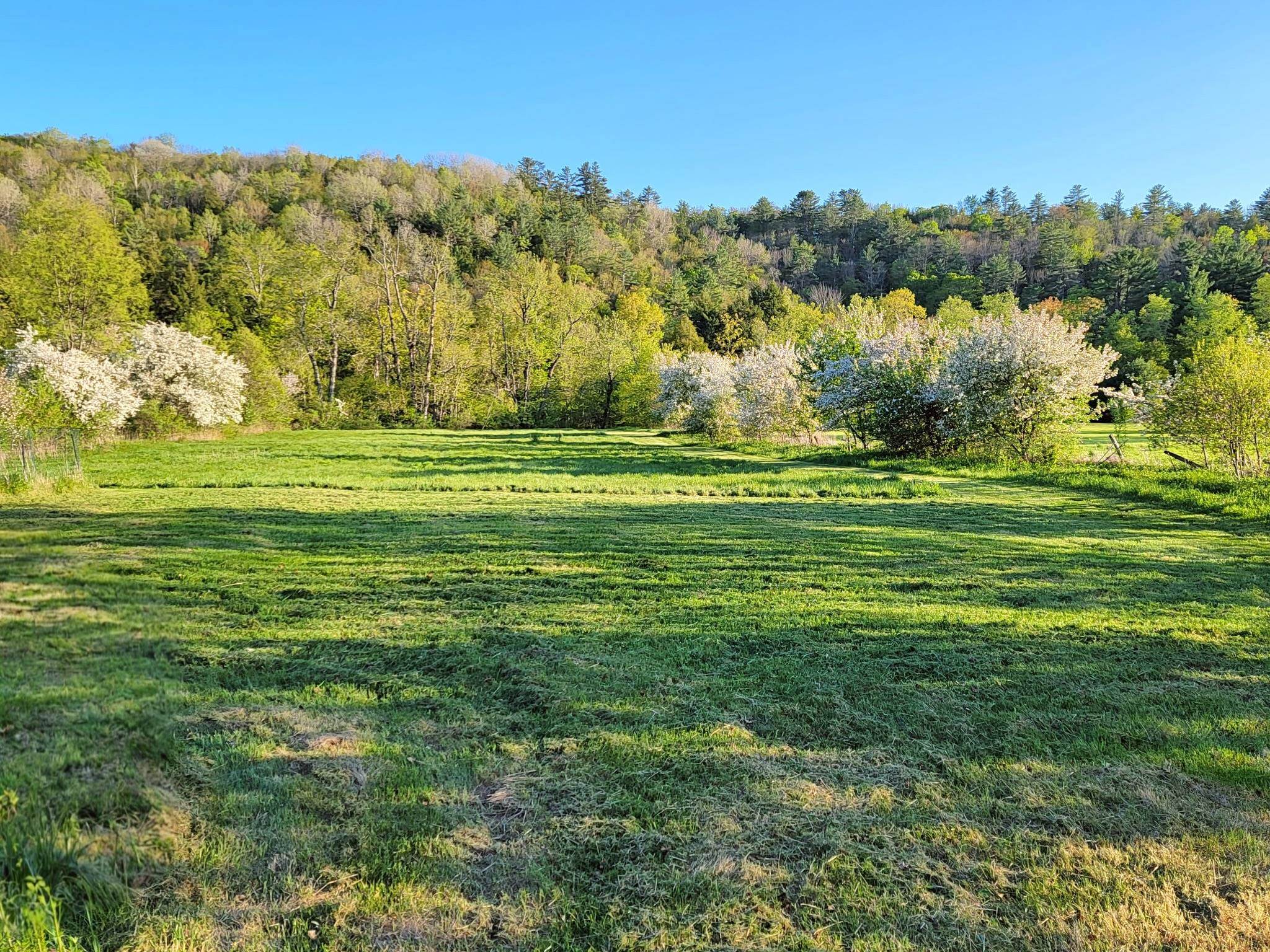 1076 Nh Route South Acworth, NH 03607 - Photo 4 of 25