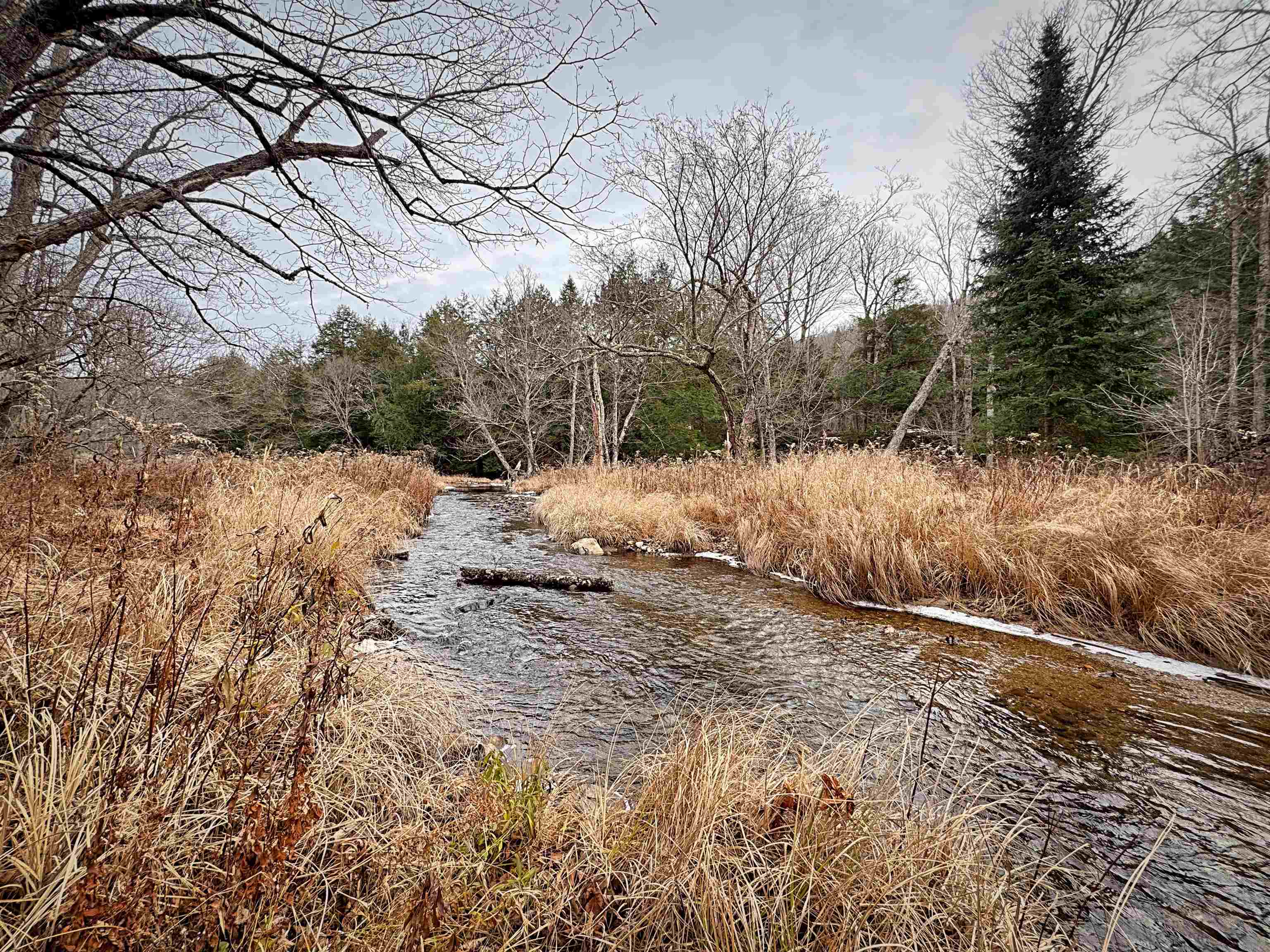 1076 Nh Route South Acworth, NH 03607 - Photo 5 of 25