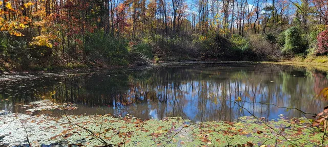 $475,000 | Tbd South Snow Road, Bloomington, IN 47403