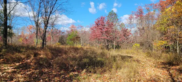 $475,000 | Tbd South Snow Road, Bloomington, IN 47403