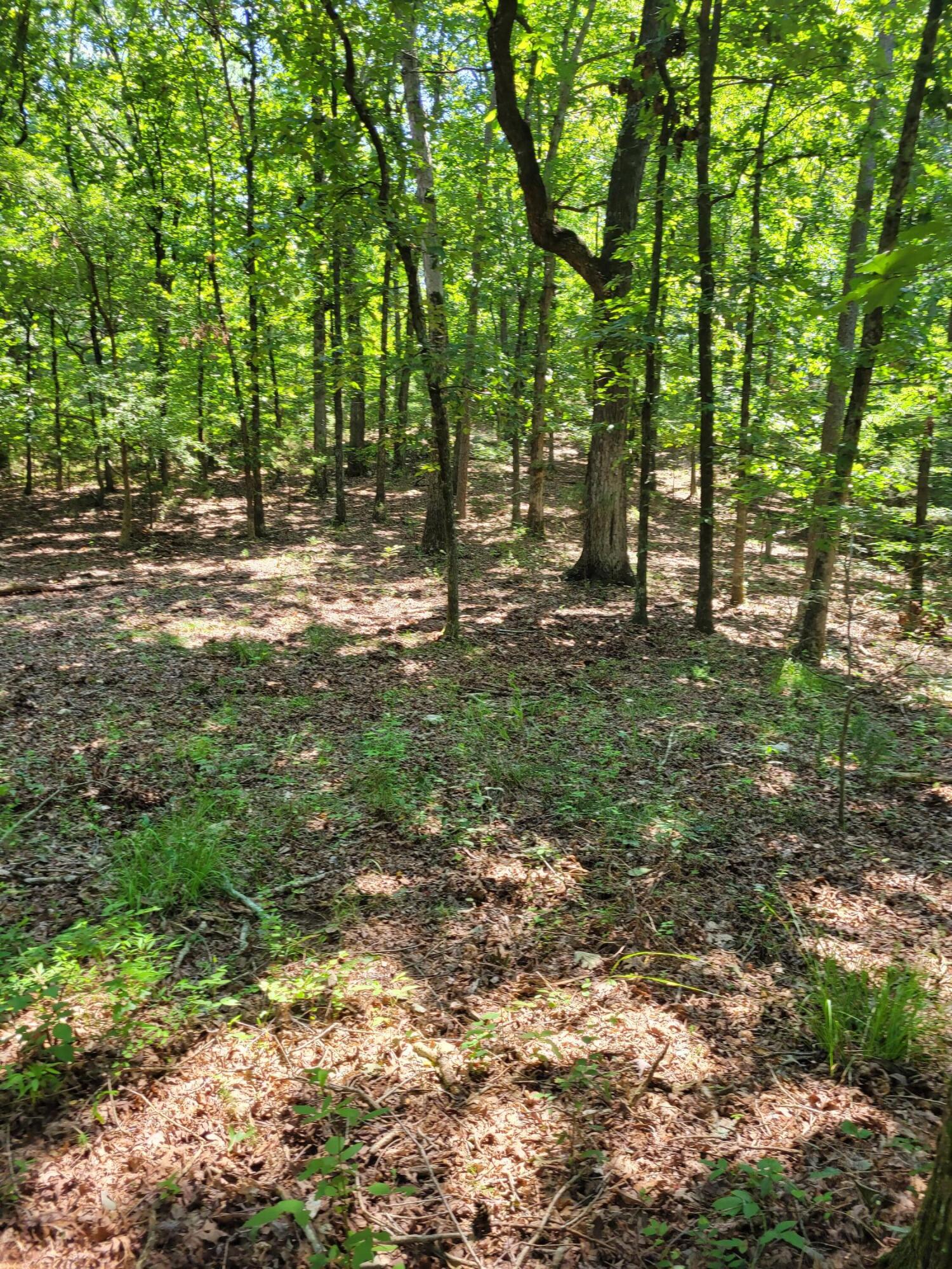 6998 Three Notch Road, Unit 5 Ringgold, GA 30736 - Photo 4 of 12 20230712_120307