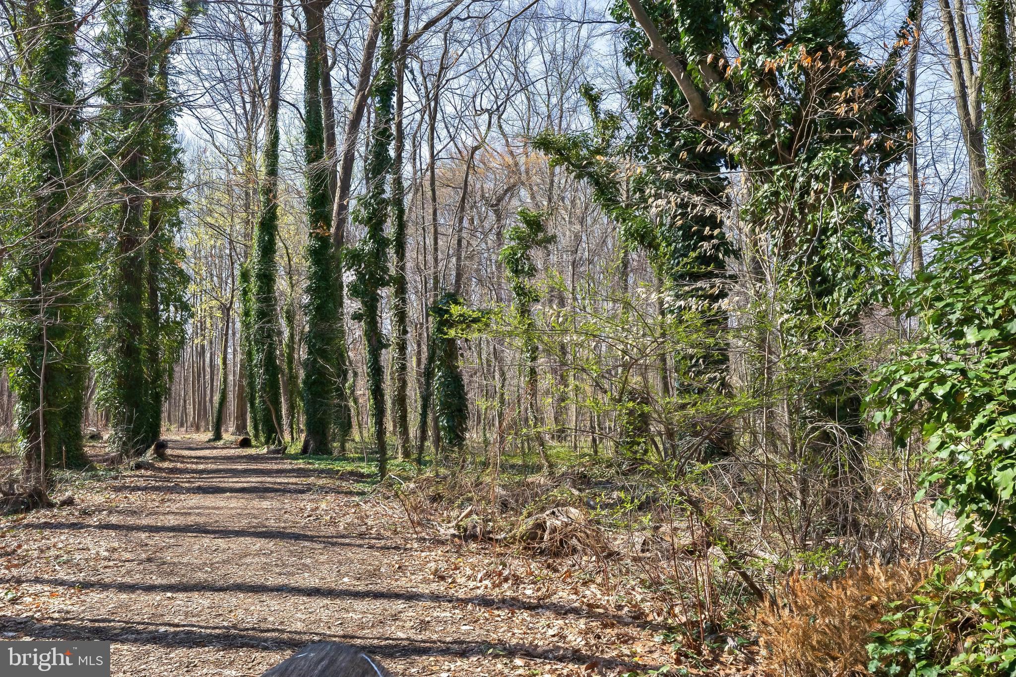 1944 Narberth Avenue Haddon Heights, NJ 08035 - Photo 60 of 61 a view of a backyard of the house