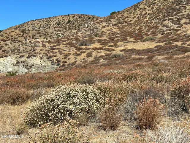 a view of a large building with trees in the background