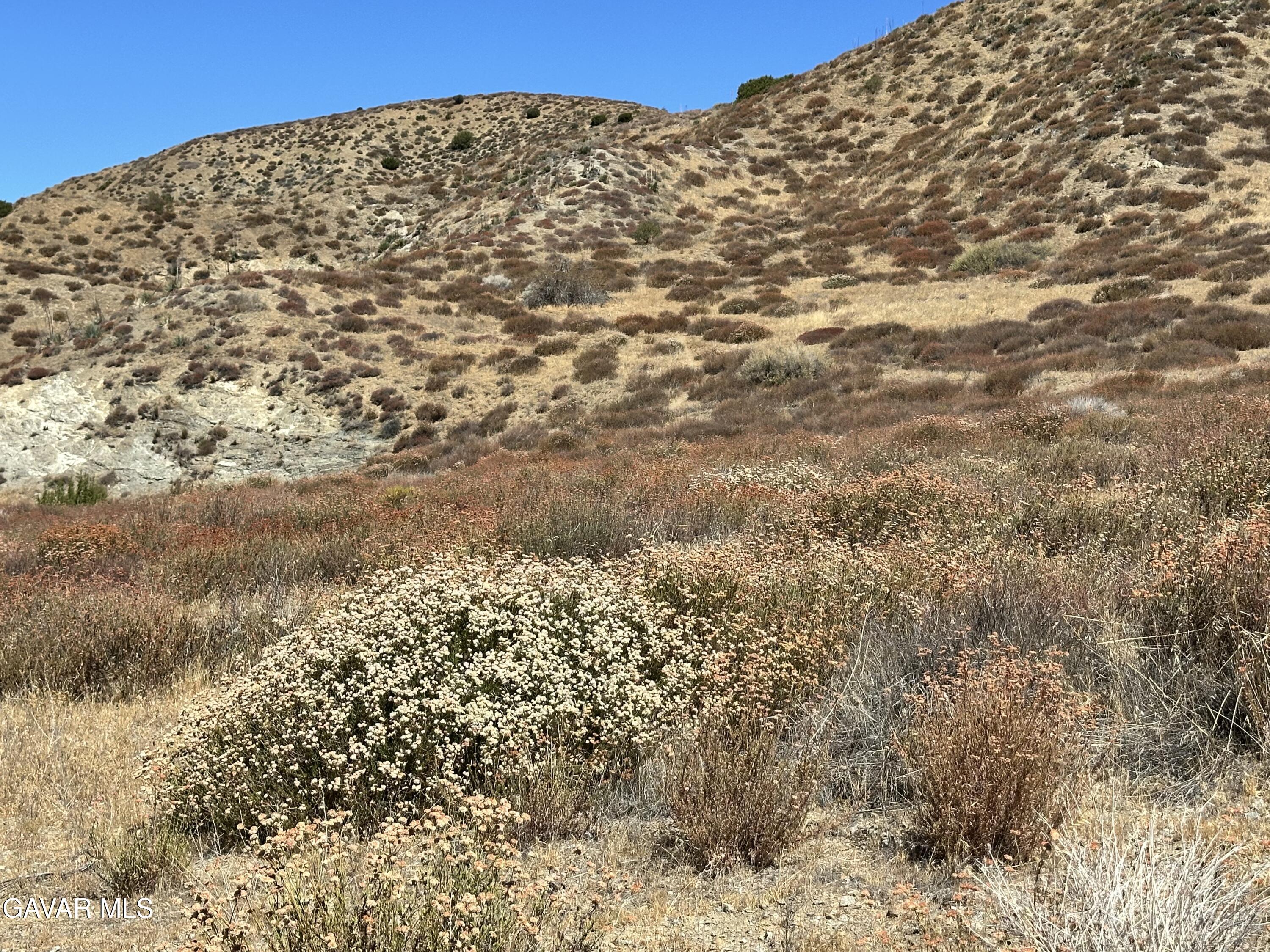 90th Street West Palmdale, CA 93551 - Photo 7 of 10 a view of a large building with trees in the background
