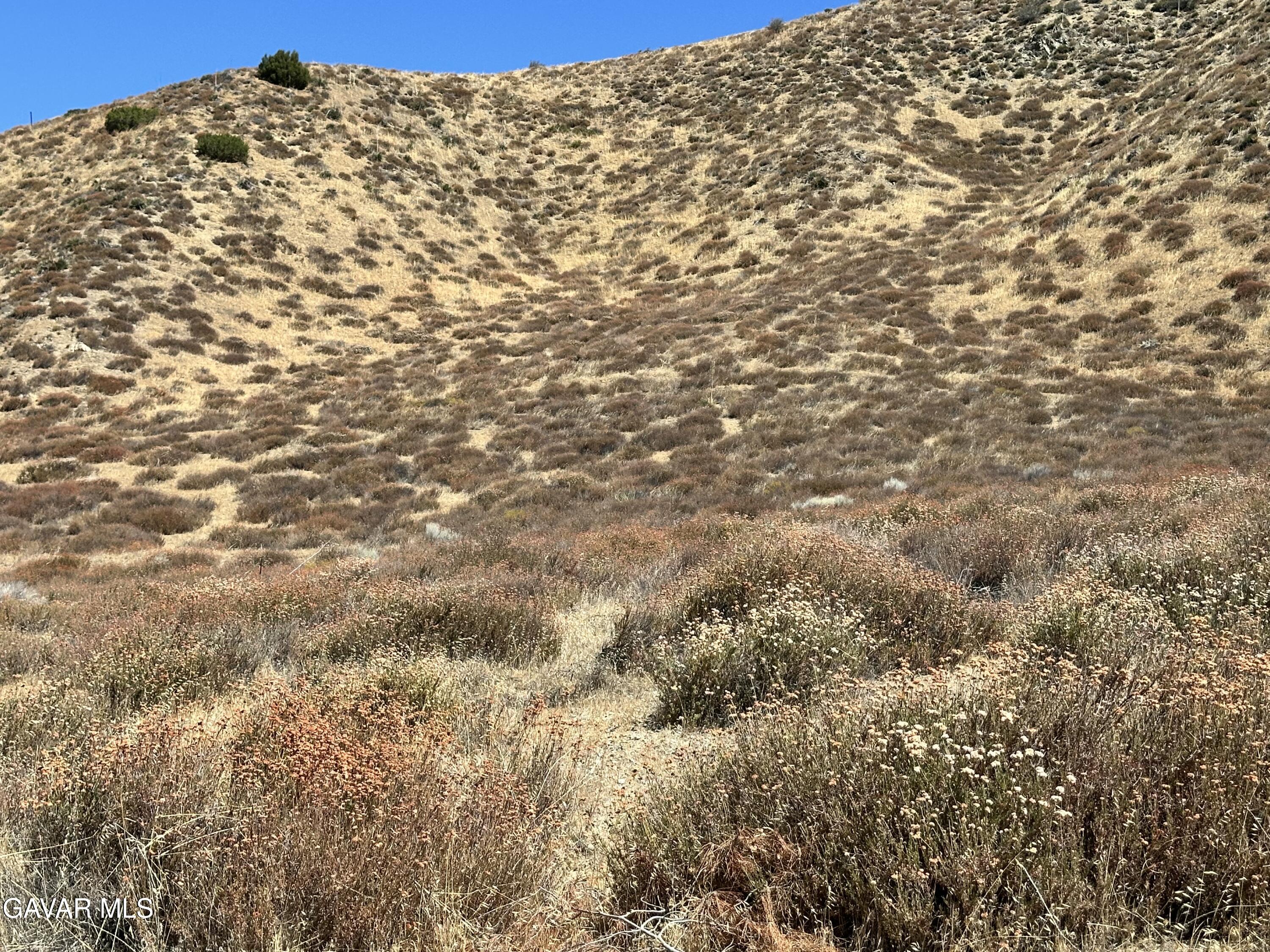 90th Street West Palmdale, CA 93551 - Photo 8 of 10 a view of a large building