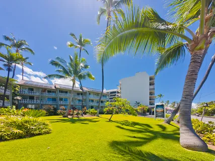a view of a swimming pool with a lawn chairs under palm trees