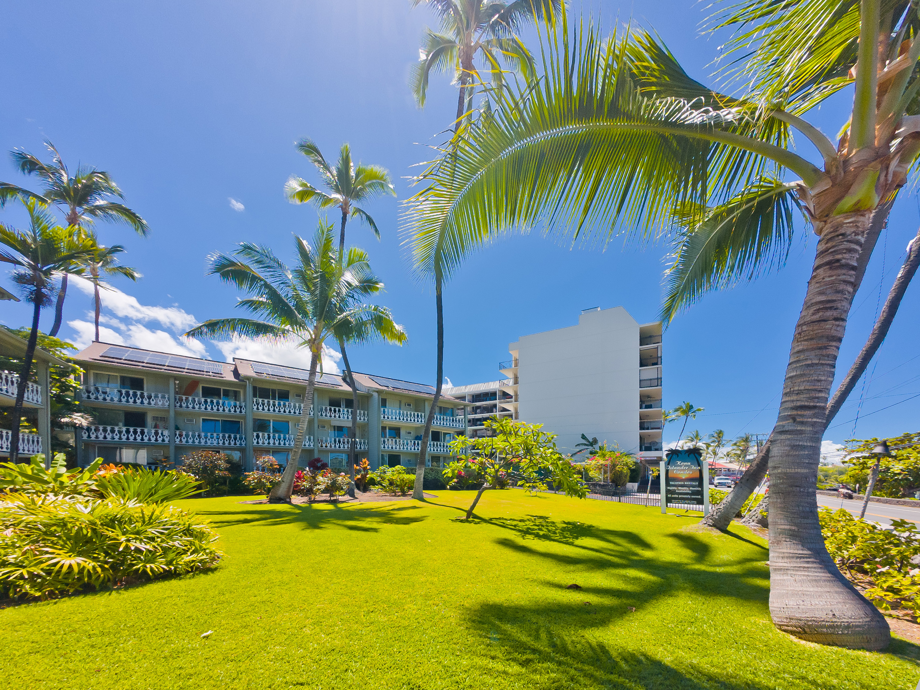 75-5776 Kuakini Highway, Unit 123 Kailua-Kona, HI 96740 - Photo 18 of 26 a view of a swimming pool with a lawn chairs under palm trees