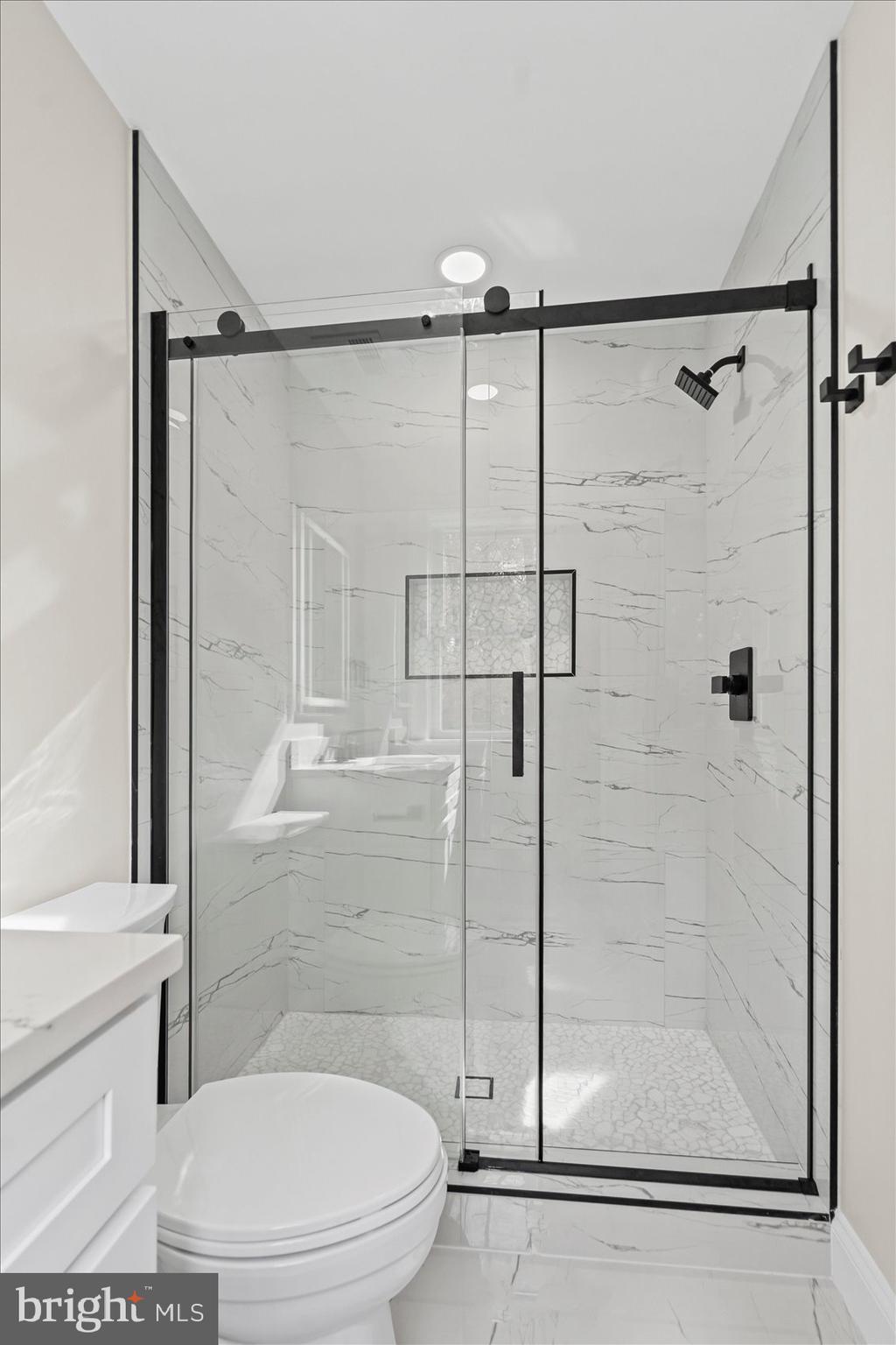 7604 Hackamore Drive Potomac, MD 20854 - Photo 55 of 81 a bathroom with a shower and a toilet