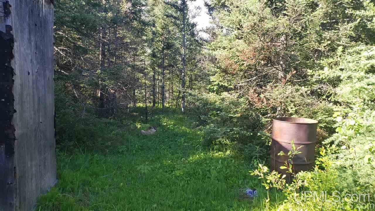 31116 Co Rd 426 Channing, MI 49815 - Photo 16 of 22