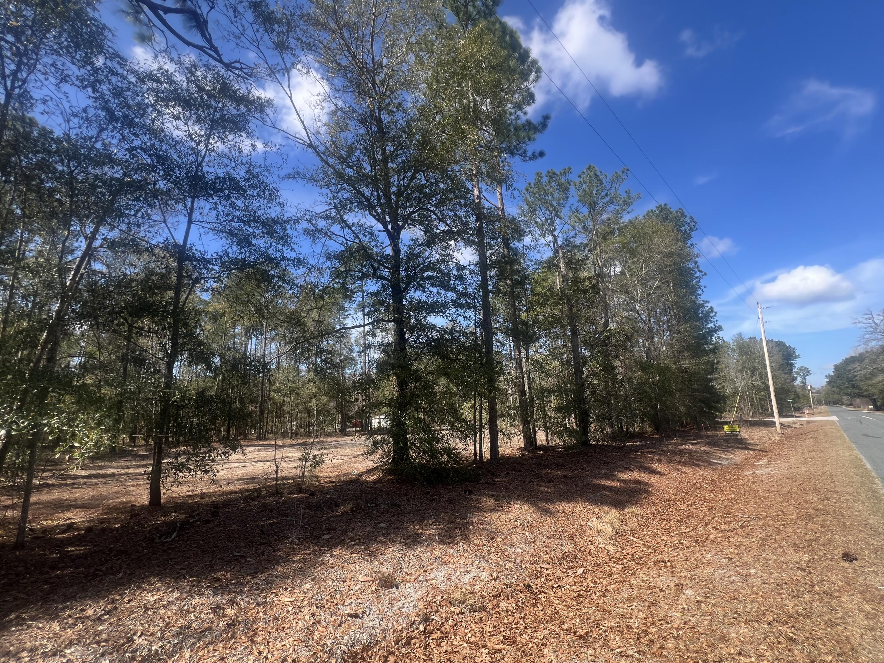 1969 Beach Road Walterboro, SC 29488 - Photo 3 of 4