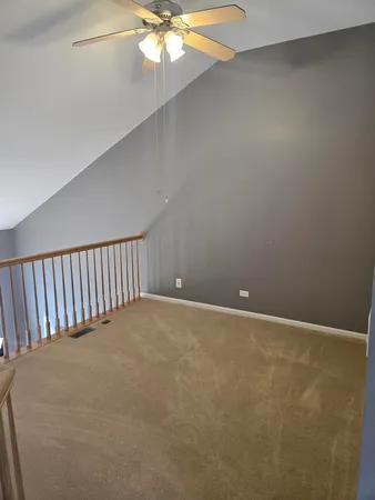 a view of a backyard with plants and large trees