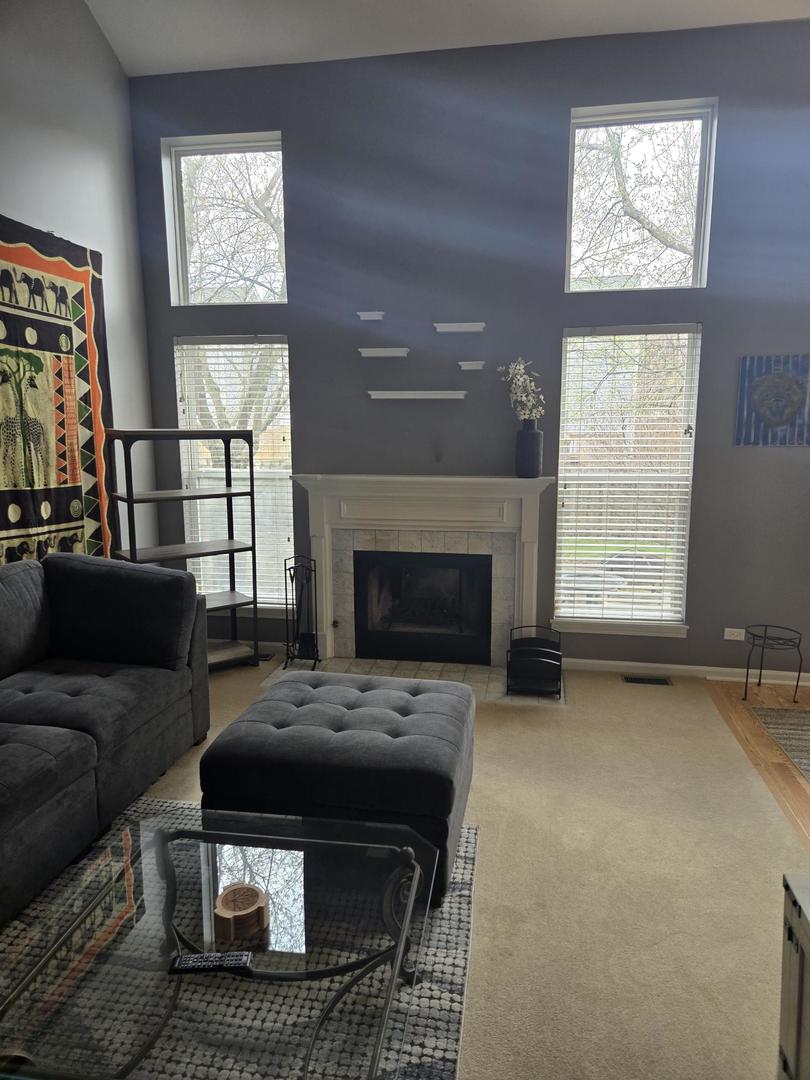 1328 Shawford Way Elgin, IL 60120 - Photo 7 of 19 a living room with furniture and a fireplace